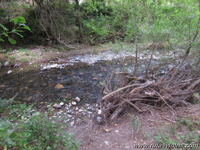 Benalauria - Río Genal