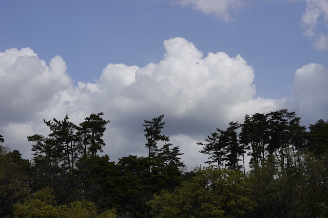 鳥取県西伯郡伯耆町丸山 丸山集落