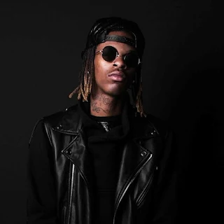 Capa de Chaminé de Zara G
