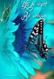 most motivational life is short images with butterfly