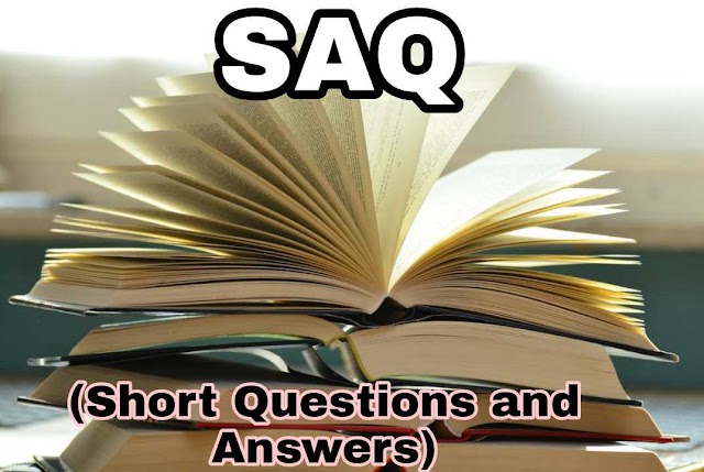 Nobel Lecture SAQ Short Questions and Answers - Mother Teresa  - WB HS