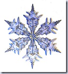 Snowflake_300h