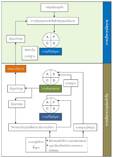 Daily Management Flow