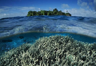 Ekosistem Laut
