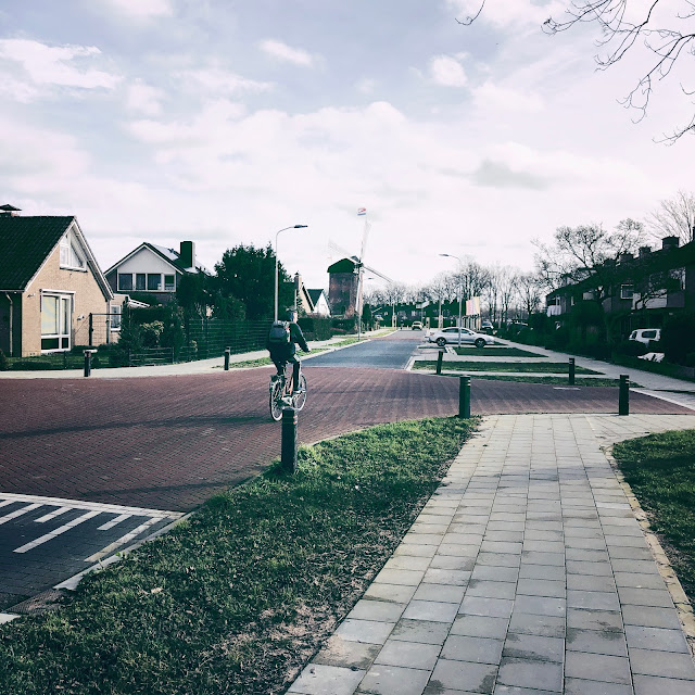 Buitenmolen met vlag, Zevenaar