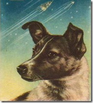 laika2003