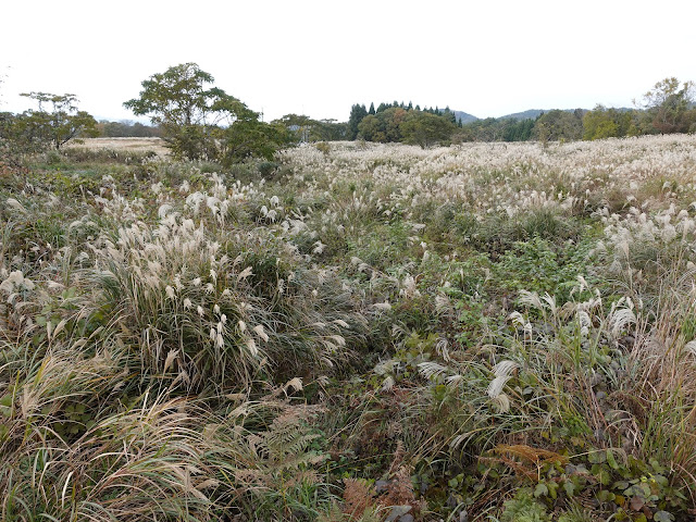 添谷展望駐車場からの眺望