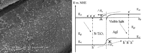 visible-light-induced self-cleaning property of cotton