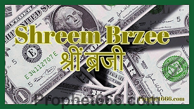 Review of Shreem Brzee New Age Miracle Money Mantra