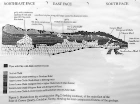 Diagram of exposed strata in Riddlesdown quarry.