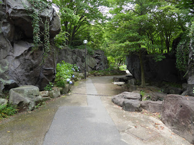 花博記念公園鶴見緑地 花の谷 岩と紫陽花