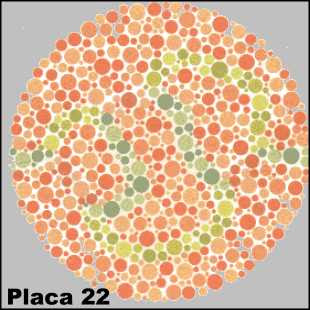 Teste de Ishihara - Placa número 22