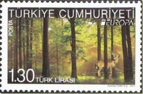 Turkey2