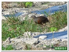 20120501_160622_029_Hualien_1