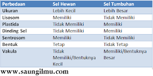 8 Perbedaan Dari Sel Hewan dan Sel Tumbuhan Dalam Ilmu Biologi