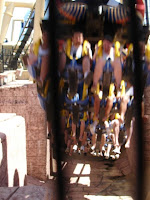 One of Montu's loops