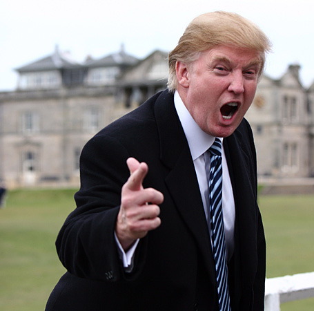 donald trump hair diagram. donald trump hair in the wind.