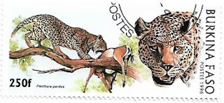 Selo Leopardos e a caça