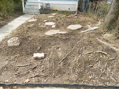 Mount Pleasant East Davisville Spring Front Garden Cleanup After by Paul Jung Gardening Services a Toronto Gardening Company