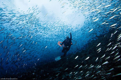 Sea world maldives