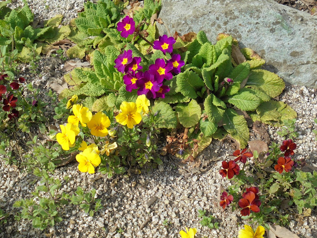 ペンション街入り口の花壇