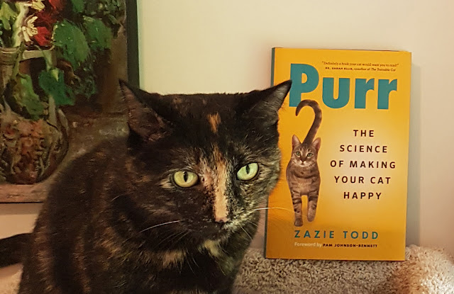 Zazie Todd's tortoiseshell cat Melina at the top of a cat tree with Purr behind