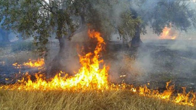 Κατάργηση των καύσεων στην ύπαιθρο καθ’ όλη τη διάρκεια του έτους.  Μήπως ήρθε επιτέλους η ώρα;