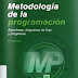 metodologia de la programacion