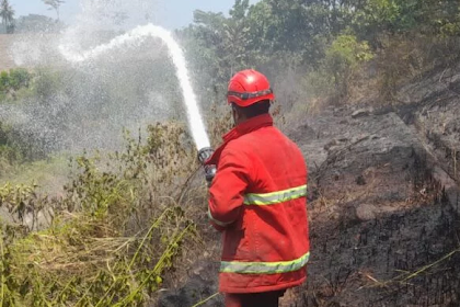 Damkar Lampung Selatan Berhasil Padamkan Kebakaran di NBR