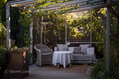 Holzterrasse mit echtem Wein und einem überdachten Sitzplatz