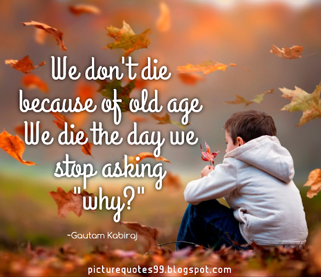 We don't die because of old age, we die the day we stop asking why