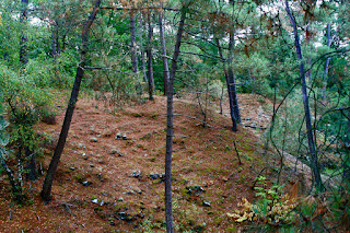 LE PARC DE PREHISTOIRE DE BRETAGNE. Доисторический парк Бретани.