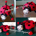coccinella...