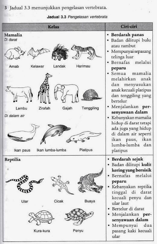 sains note   BAB 3 BIOdiVERsiTI Pengelasan Haiwan