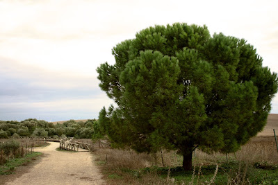 Entorno de la Laguna de Medina