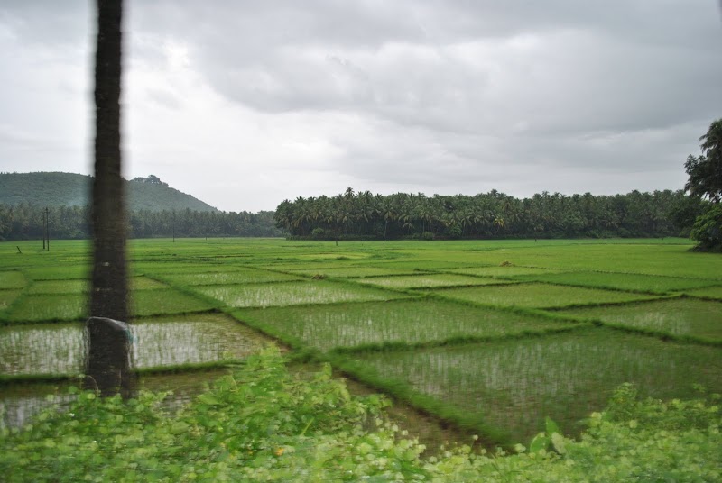 Goa in Monsoon