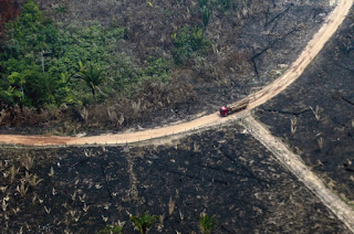 Doadores prometem US$ 500 milhões extras para Amazônia e outras florestas tropicais