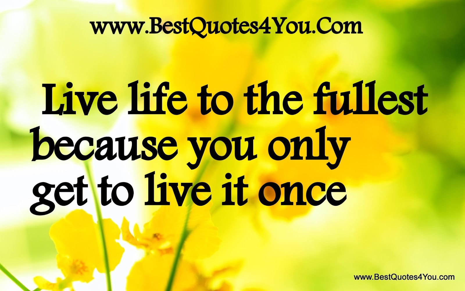 Live Life Quotes- Living Life To The Full - Quotes Photos