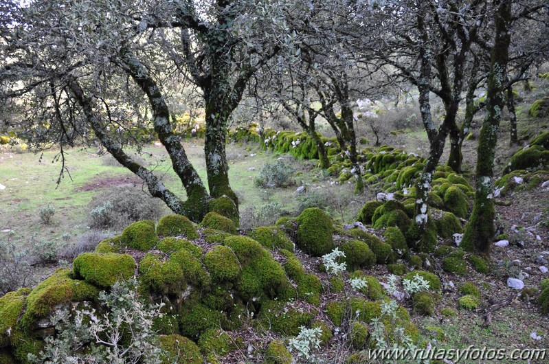 Subida al Pico de los Pinos