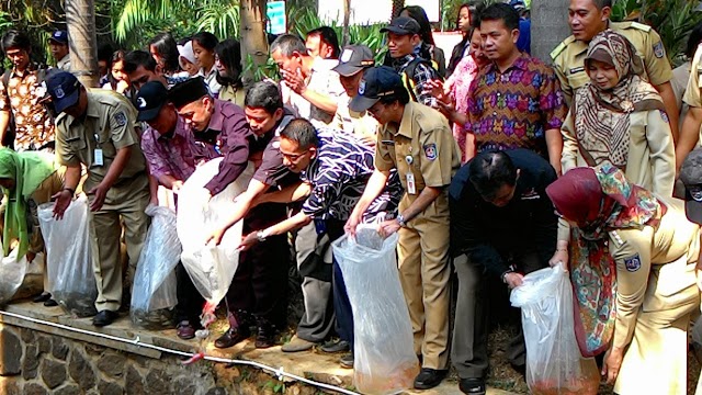 Walikota Tebar Ribuan Ikan di Taman Kolam Bio Indikator 