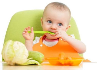 7 Tips For Baby Food 7 Months