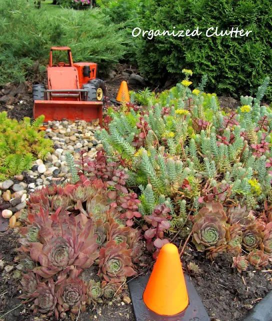 Junk Garden Ideas for Sempervivums (Hen & Chicks)