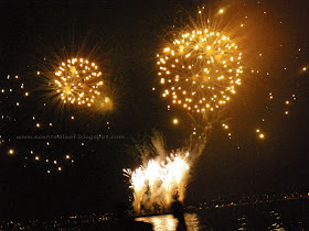 Fireworks - picture taken at Vancouver's Celebration of Light 2010