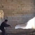  Idiot Wrecking a Wall Gets a Lesson in Physics