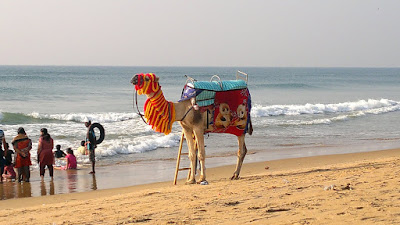 Puri Sea Beach