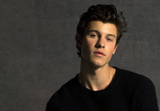 Kunci Gitar Shawn Mendes Senorita