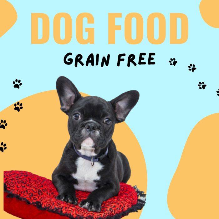 How Much Do You Know about Easy Homemade Dog Food Recipe?