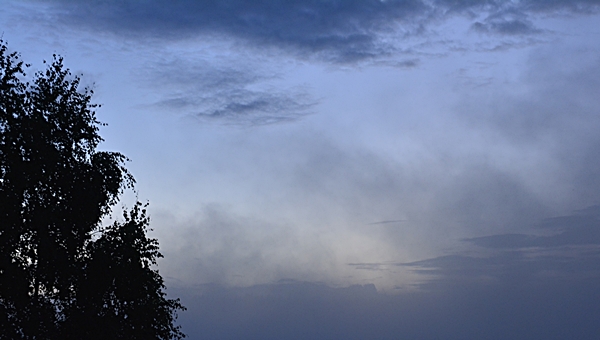 tåke trær himmel