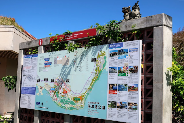 沖縄 美ら海水族館