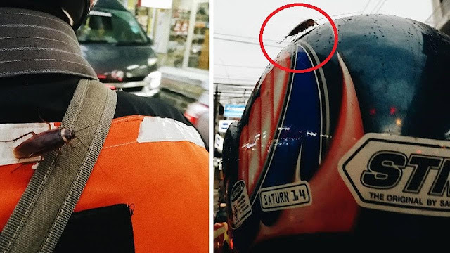 Penumpang Ketakutan Saat Ada Kecoa Di Helm Driver Ojol